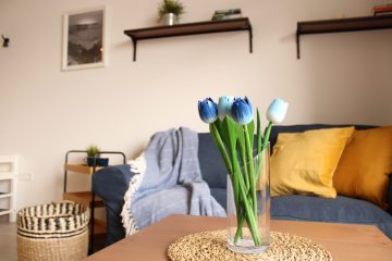 IMG_3598