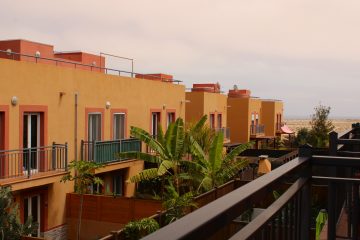 IMG_4043